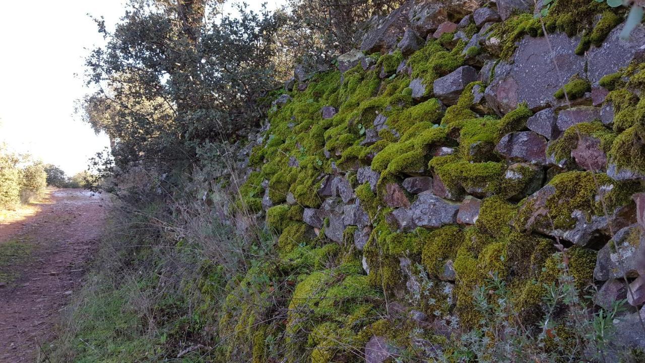Casa Rural El Arco La Estrella  Zewnętrze zdjęcie