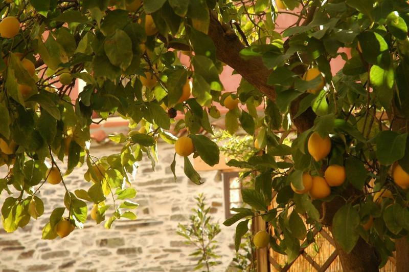 Casa Rural El Arco La Estrella  Zewnętrze zdjęcie